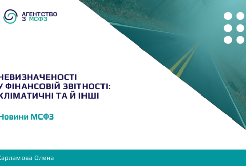 Nevyznachenosti-u-finansovij-zvitnosti
